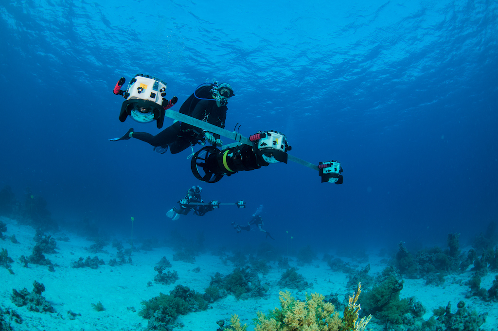 diver mapping coral reef