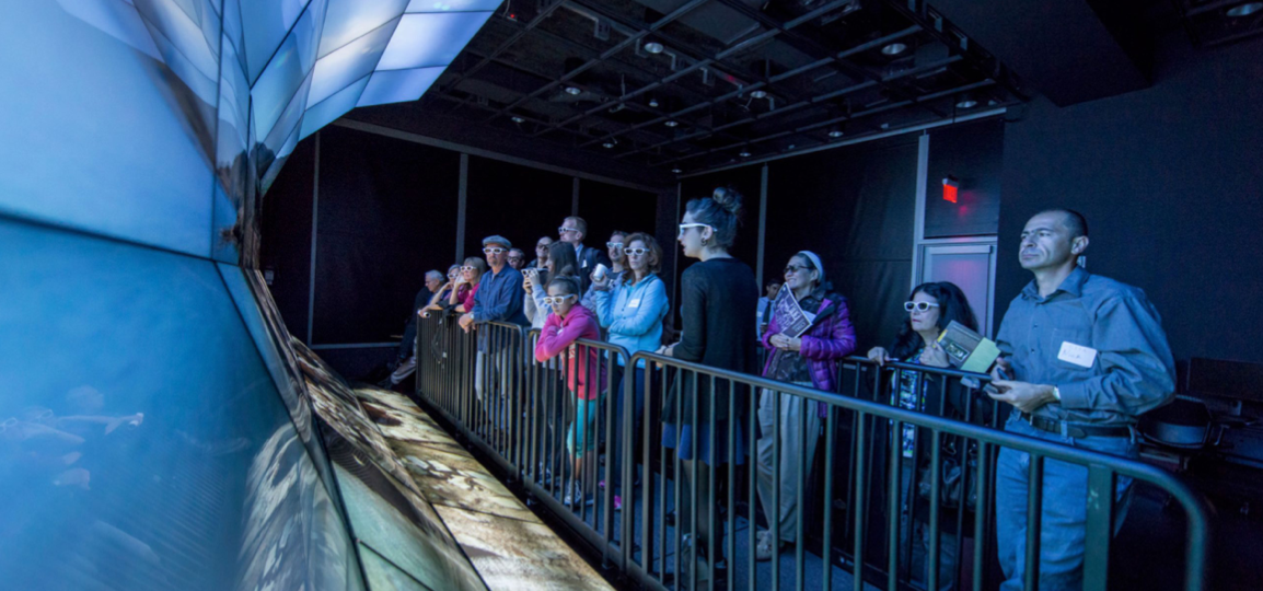 visitors at aquarium