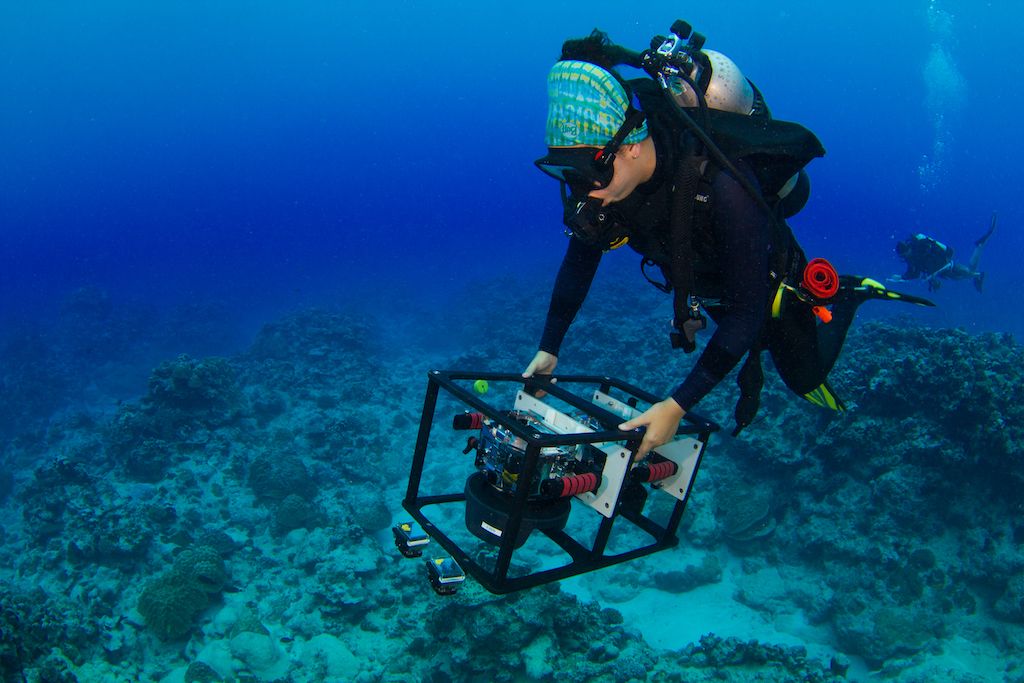 diver placing scientific equipment